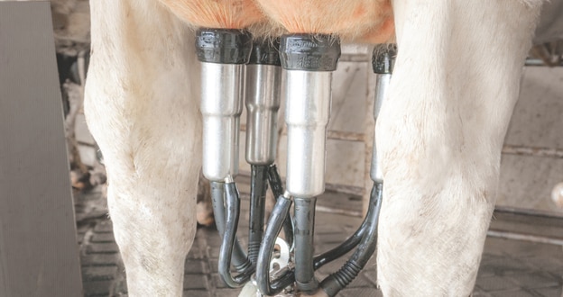 Parlor Upgrades
